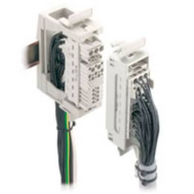HDC RAILMATE BASIS Weidmüller Tartalom: 10 db