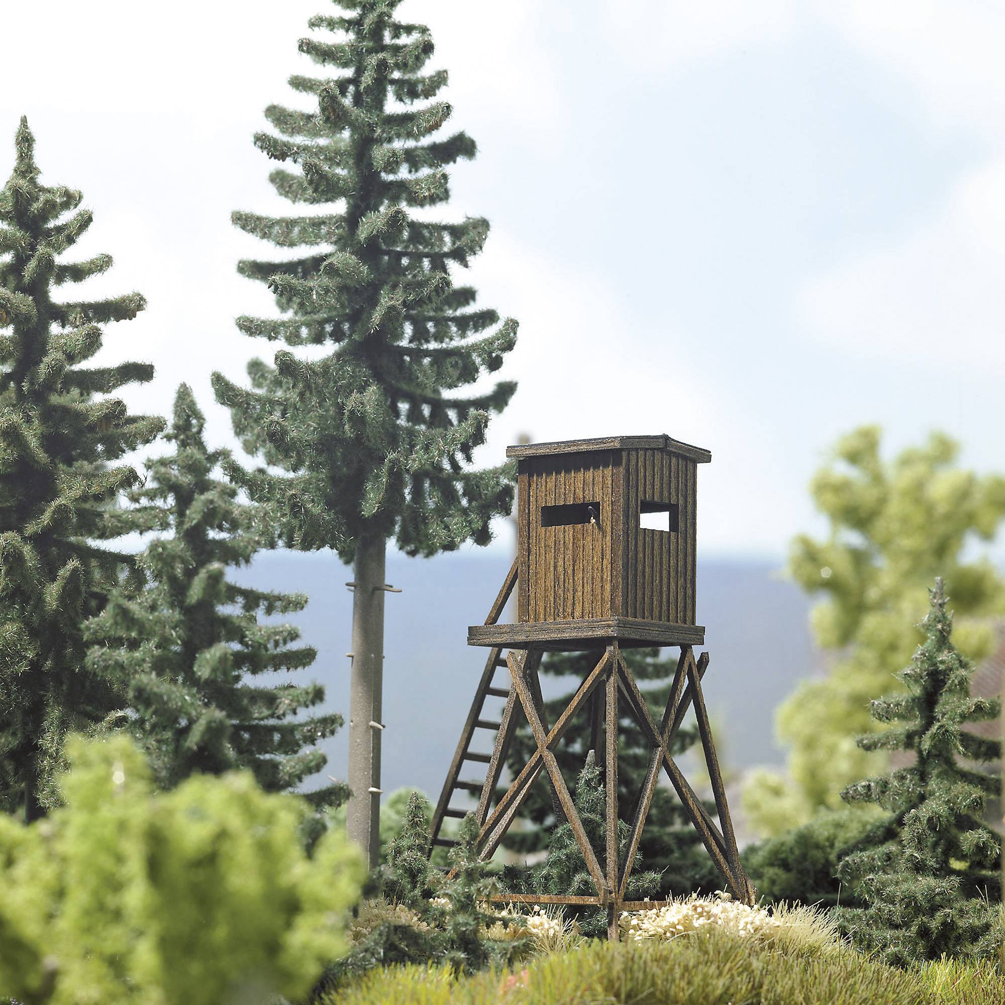 Egyfa magasles áll magas fenyők között egy erdős területen, sűrű növényzet övezi. Az ég tiszta.