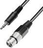 3,5mm jack - XLR átalakító kábel 3m Paccs 300901
