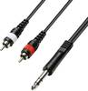Adapterkábel 6,3MM sztereo/2X RCA-anya 5M