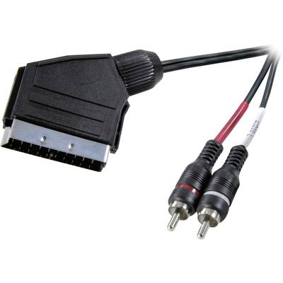 Scart - RCA audio kábel, 1x Scart dugó - 2x RCA dugó, 2 m, fekete, SpeaKa Professional 325332