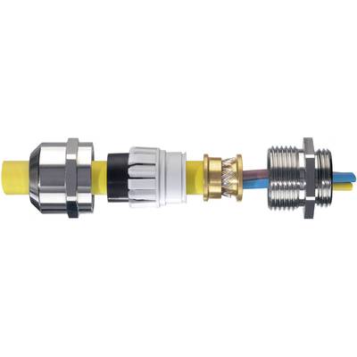 Wiska 10065019 Tömszelence M25 Sárgaréz Sárgaréz 50 db