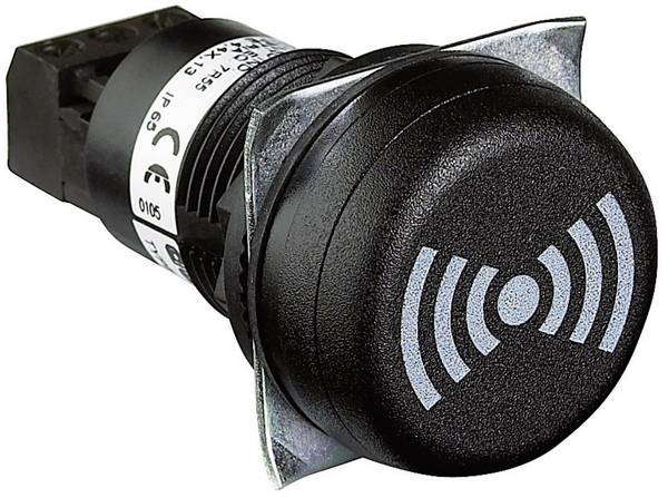 Auer Signalgeräte Jelző zümmer  812500405 ESK  Hosszú hang, Pulzáló fény 12 V/DC, 12 V/AC, 24 V/DC, 24 V/AC 65 dB