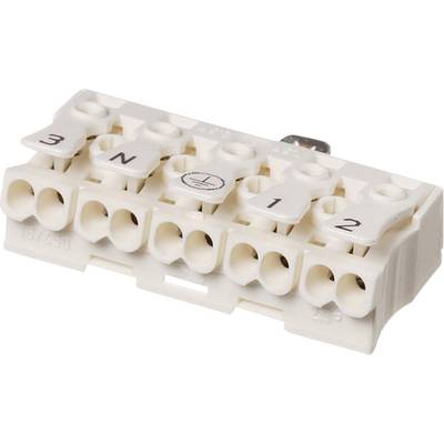 Lámpatest sorkapocsblokk 5 pólusú, 2,5 mm² 16A, fehér, Adels-Contact 041015