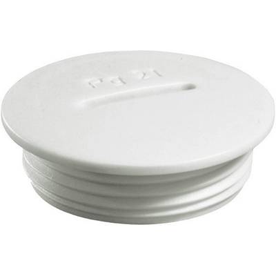 Wiska 50060735 VSG 36 Vakdugó PG36 Poliamid Élénk szürke (RAL 7035) 1 db