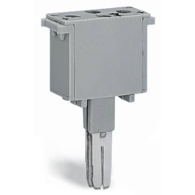 WAGO 280-803 Üres dugó Szürke 50 db