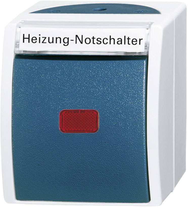 Busch-Jaeger 2601/6 SKWNH-53 Kapcsoló család nedves helyiségbe Fűtés vészkapcsoló Falra szerelhető, Ocean Kék, Zöld 1 db