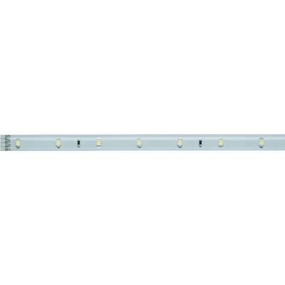LED szalag csatlakozóval 12 V 97,5 cm, semleges fehér, Paulmann YourLED 70209