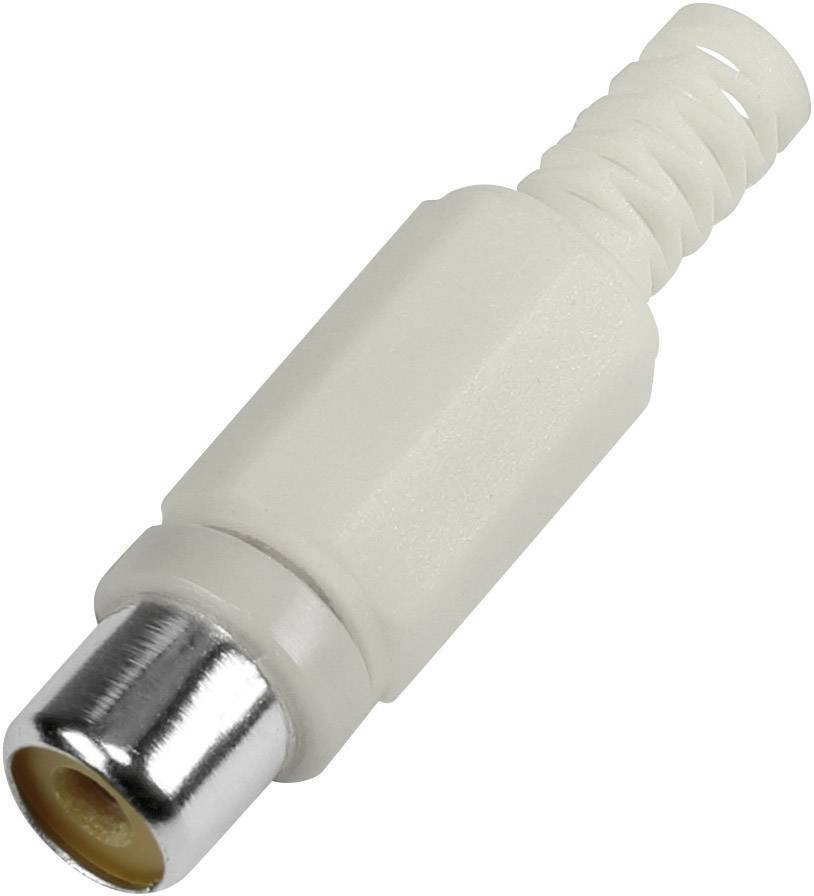 BKL Electronic 1108014 RCA csatlakozó Alj, egyenes Pólusszám: 2 Fehér 1 db