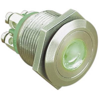 Vandálbiztos nyomógomb világítással, zöld, 24V/DC, 50mA, Bulgin MPI001/TERM/GN