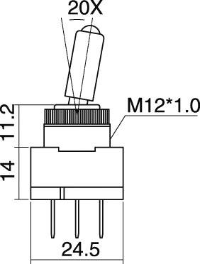 Műszaki rajz egy kapcsolóról méretekkel: 20°-os dőlésszögű kar, M12*1,0 menet, teljes magasság 24,5 mm.