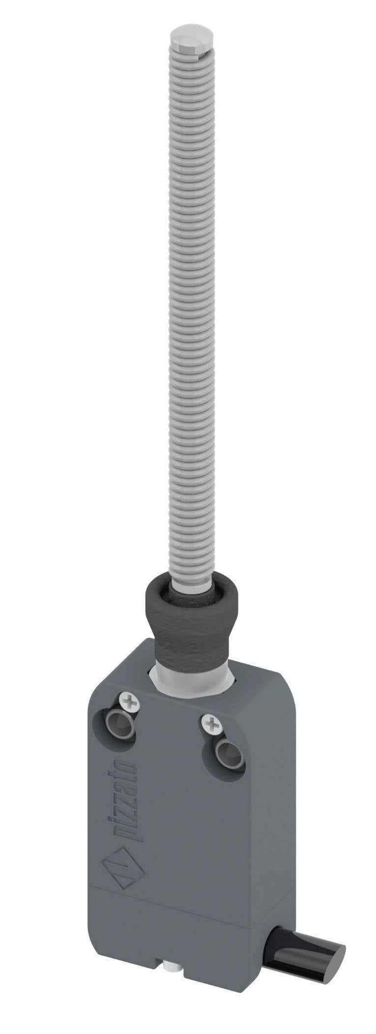 Pizzato Elettrica NF B110HE-DN2 NF B110HE-DN2 Interrupteur de fin de course 250 V/AC 4 A tige à ressort à rappel IP67 1 pc(s)