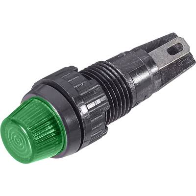 Jelzőlámpák LED-del 24 - 28 V, zöld (átlátszó), RAFI, tartalom: 10 db