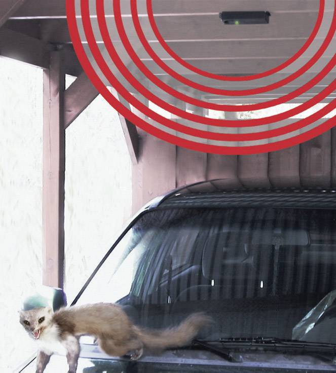 Egy kék hajú nyest fut egy autó tetején, amely egy autóbeálló alatt áll. Piros körök egy védelmi rendszerre utalnak.