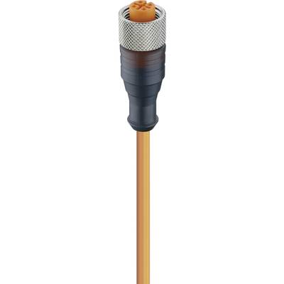 Lumberg Automation 11363-1 Érzékelő-/működtető összekötő, konfekcionált M12 Alj, egyenes 2.00 m Pólusszám: 3 1 db