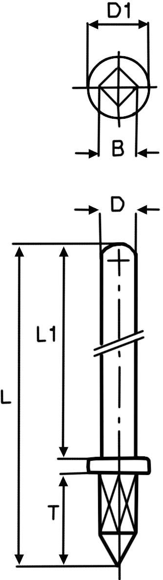 Egy toll műszaki rajza kerek fejjel. Dimenziók: D1 (fej), B (szár szélessége), L1 (hosszúság a szárig), L (teljes hosszúság), T (hegyének hosszúsága).