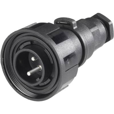 Bulgin PX0731/P Kerek dugó Dugó, egyenes Össz pólusszám: 3 Sorozat (kerek csatlakozók): PX07 1 db