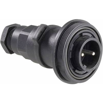 Bulgin PX0737/P Kerek dugó Dugó, egyenes Össz pólusszám: 2 Sorozat (kerek csatlakozók): PX07 1 db