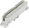 LSA Plus 2 csatlakozósor, natúr, 10 érpár, TRU COMPONENTS TC-6269620