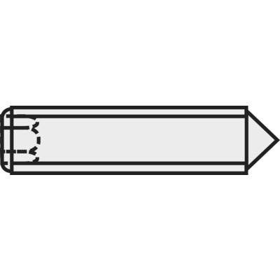 Toolcraft belső kulcsnyílású hernyócsavar, M4 x 5 mm, DIN 914, fekete, 20 db 827341