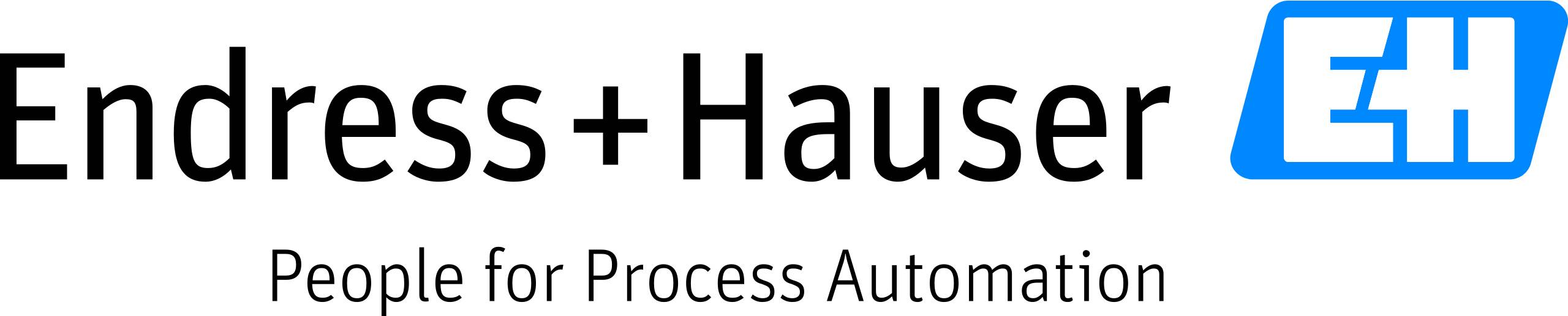 Endress+Hauser 71355718 1 készlet