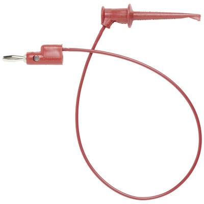 Un cavo di test elettrico rosso con punta in metallo e copertura protettiva. Viene utilizzato per misurare segnali elettrici.