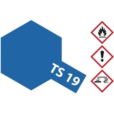 Esagono blu con etichetta 'TS 19'. A destra tre simboli di pericolo: fiamma, punto esclamativo e materiale corrosivo.