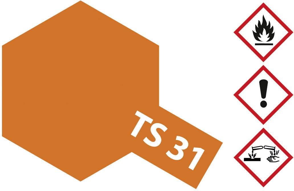 Arancione simbolo di pericolo con l'etichetta 'TS 31', accanto a tre simboli: fiamma, punto esclamativo e liquido corrosivo che indicano i pericoli.
