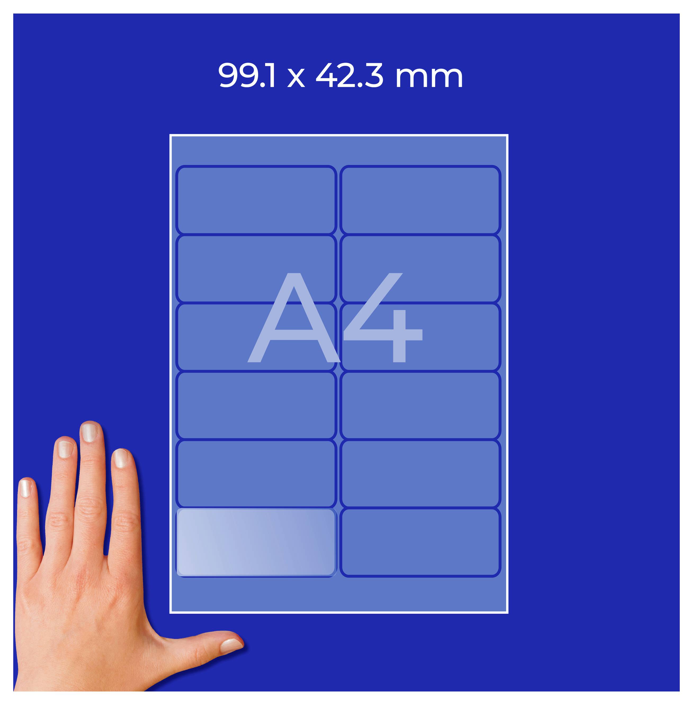 Grafica di un'etichetta A4 con indicazione delle dimensioni '99,1 x 42,3 mm'; 10 campi etichetta in due colonne, a grandezza naturale per illustrare le dimensioni.