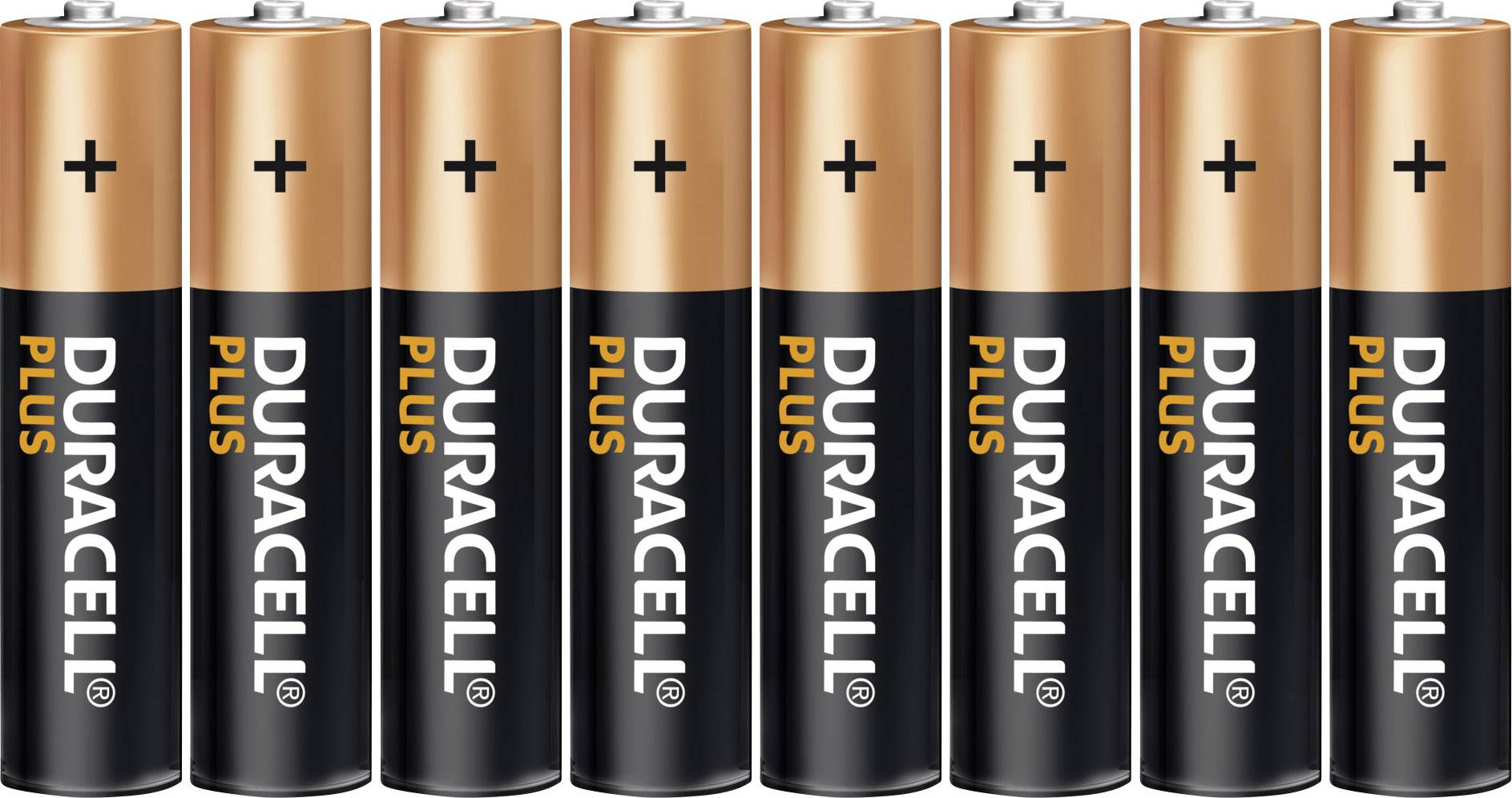 Duracell Plus Power LR03 Batteria Ministilo (AAA) Alcalina/manganese 1.5 V 8 pz.