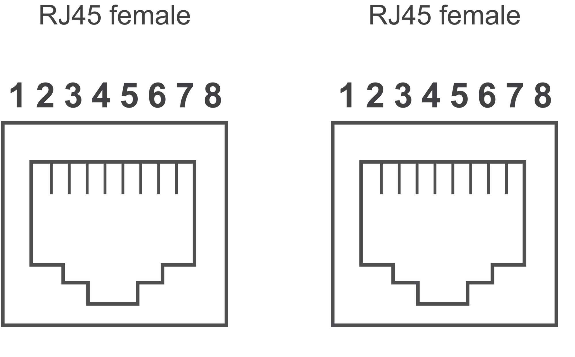 Connettori femmina RJ45 con pin numerati da 1 a 8, che rappresentano i collegamenti dei cavi.