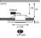 Diagramma di una lampada a LED: misure in mm, 350 mA. Altezze: 40, 25, 10. Diametro 150, interfaccia 100.