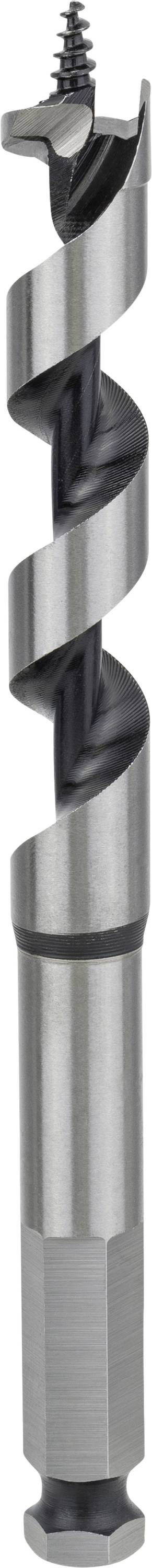 Bosch Accessories 2608585702 Punta a torciglione Lewis 15 mm Lunghezza totale 160 mm Alberino esagonale 1 pz.