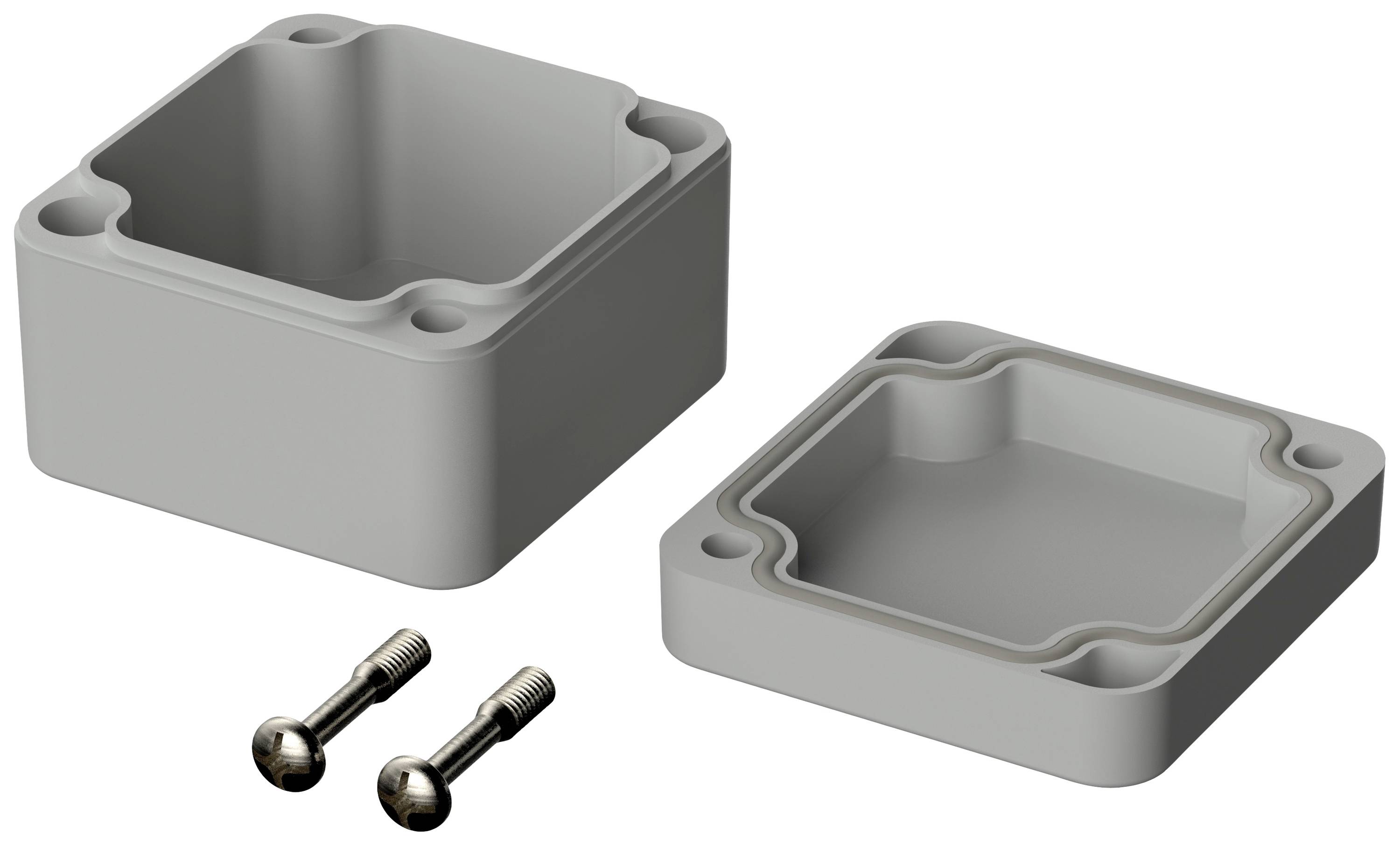 Un contenitore rettangolare grigio in plastica con coperchio rimovibile, accanto a due viti metalliche. Utilizzato per involucri elettronici.