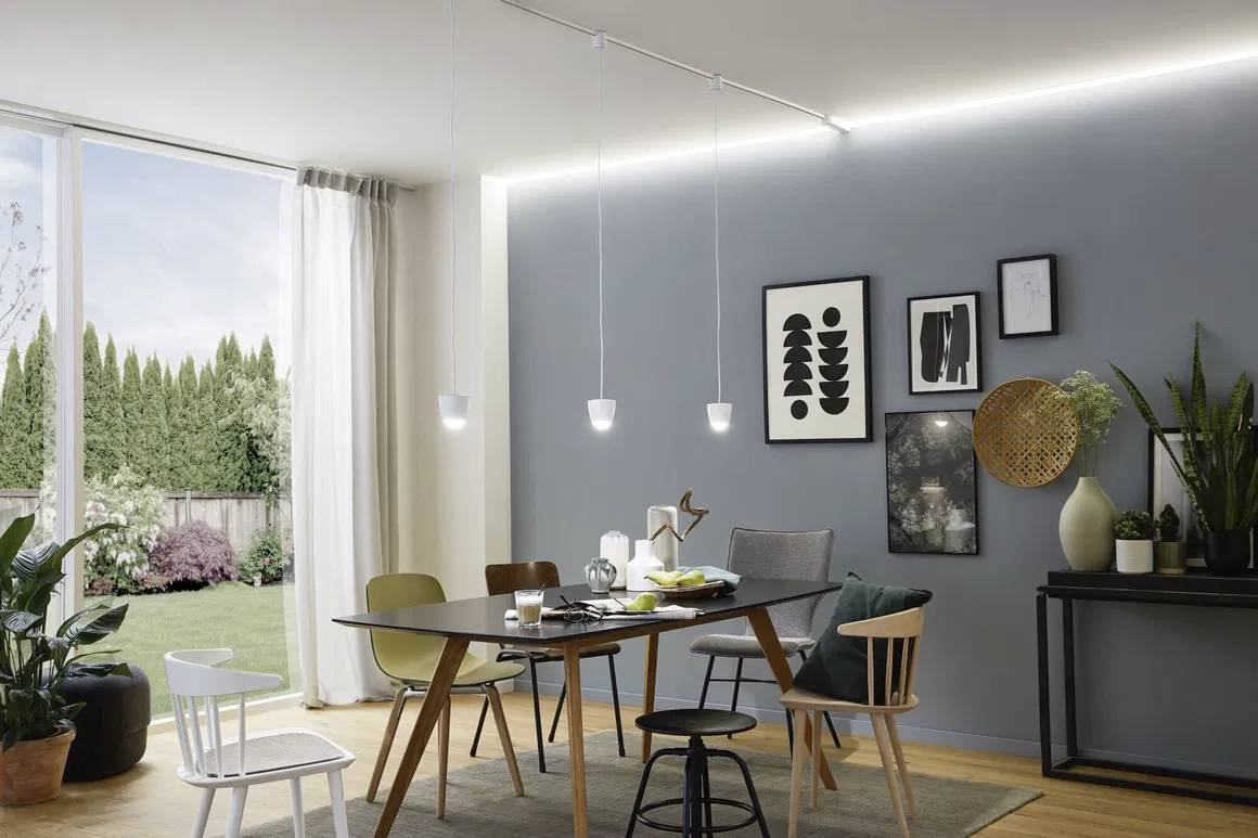 Una sala da pranzo con un tavolo moderno e sedie miste, decorata con piante e opere d'arte su una parete grigia. Grandi finestre permettono l'ingresso della luce diurna.