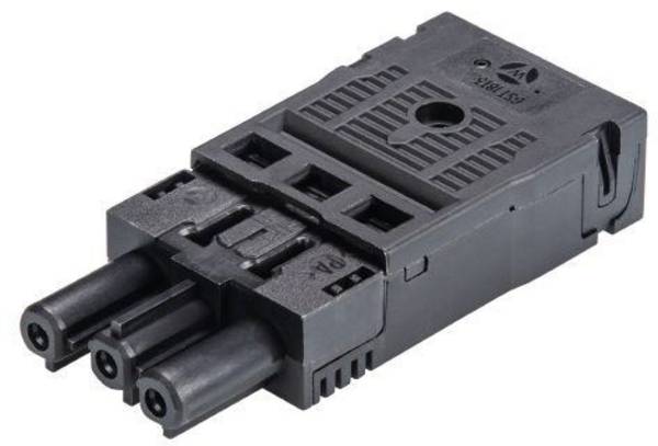 Wieland Electric 92.733.0053.1  Presa  Nero