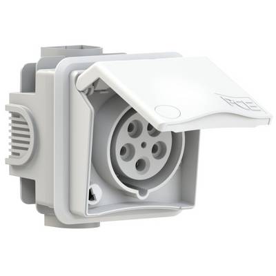 Presa elettrica con coperchio ribaltabile, aperta, che mostra i contatti elettrici all'interno. Adatta per ambienti esterni.