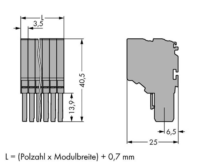 Disegno tecnico di una spina in due viste con dimensioni. Le parti principali e le misure sono corredate da indicazioni di lunghezza.