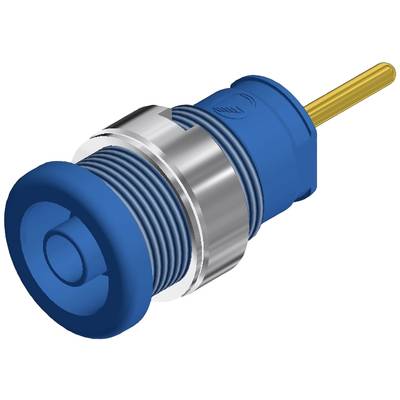 Un pulsante blu con cornice metallica argentata e cavo di connessione giallo, spesso utilizzato per il comando di dispositivi.