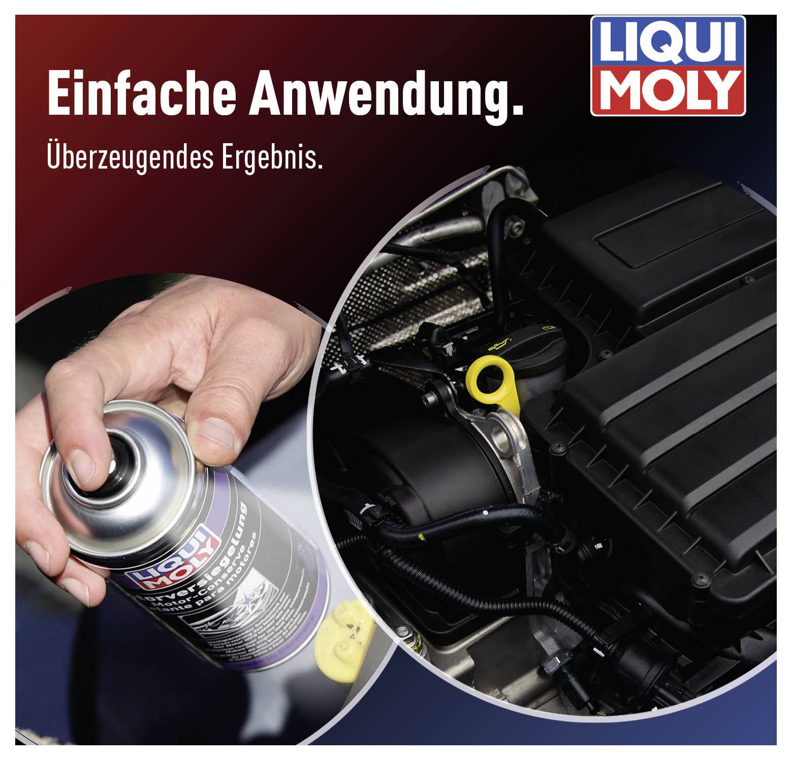 'Liqui Moly Spray viene utilizzato nell'area motore. Testo: Applicazione semplice. Risultato convincente.'