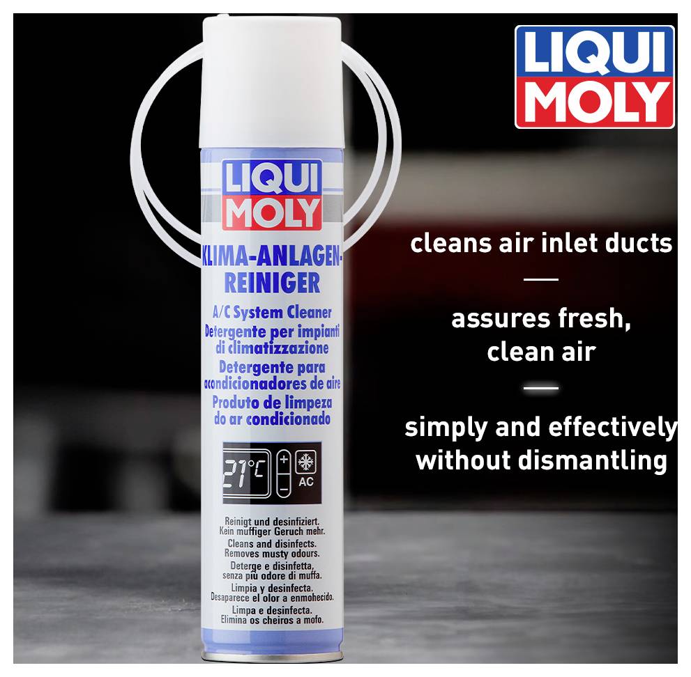 Liqui Moly 4087 Pulitore per climatizzatore 250 ml-2