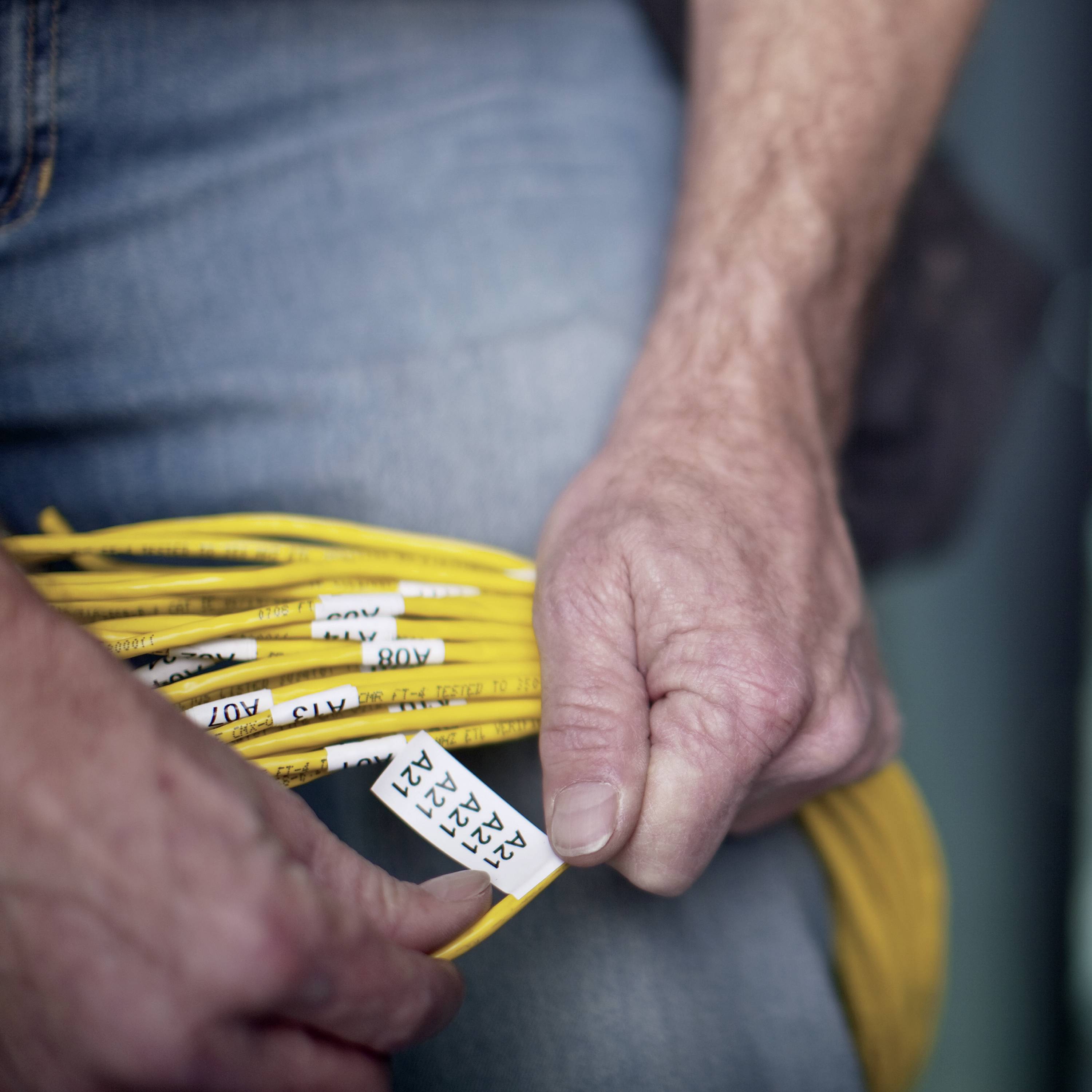 Una persona tiene in mano un fascio di cavi gialli con etichette.