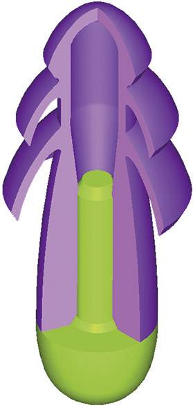 Rappresentazione schematica di un oggetto cilindrico, parzialmente viola e verde, che mostra la struttura o i componenti interni.