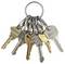 Un anello metallico trattiene più chiavi assortite, ognuna con forme e scanalature diverse, suggerendo l'uso per serrature diverse.