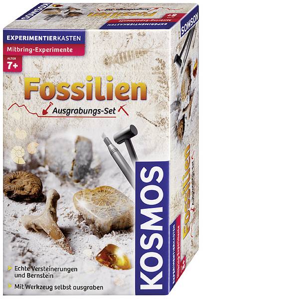 Kit esperimenti e pacchetti di apprendimento - Kosmos 630461 Ausgrabungsset Fossilien Kit esperimenti da 7 anni - Kit esperimenti e pacchetti di apprendimento - Kosmos 630461 Ausgrabungsset Fossilien Kit esperimenti da 7 anni -