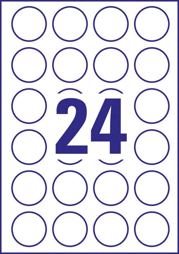 Numero '24' al centro, circondato da cerchi blu; sei cerchi per colonna, cinque per riga.