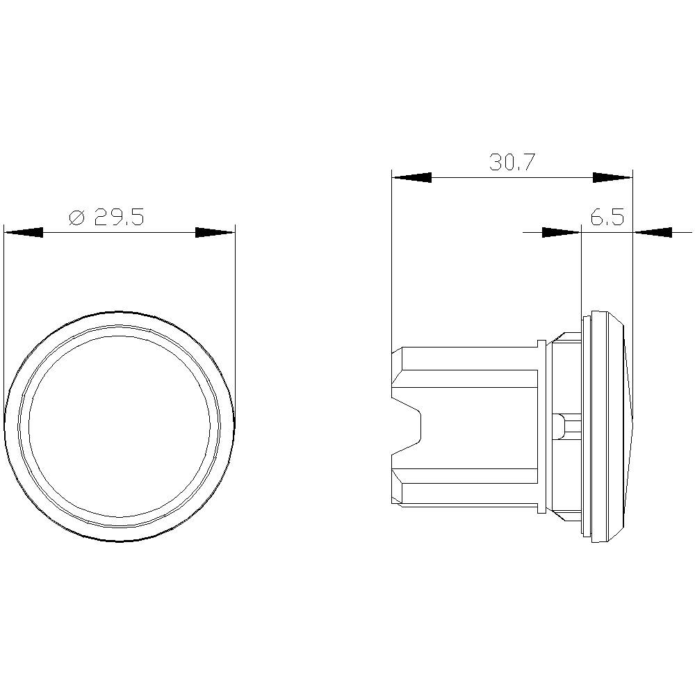 Disegno tecnico di un oggetto cilindrico con dimensioni: diametro 29,5 mm, lunghezza 30,7 mm, larghezza 6,5 mm. Mostra vista frontale e laterale.