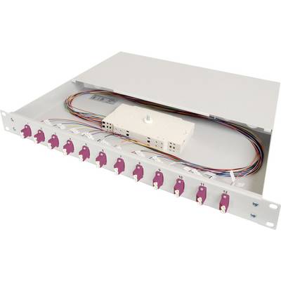 Una scatola di distribuzione in fibra ottica grigia con dodici connessioni. All'interno sono visibili cavi e un blocco modulare bianco.