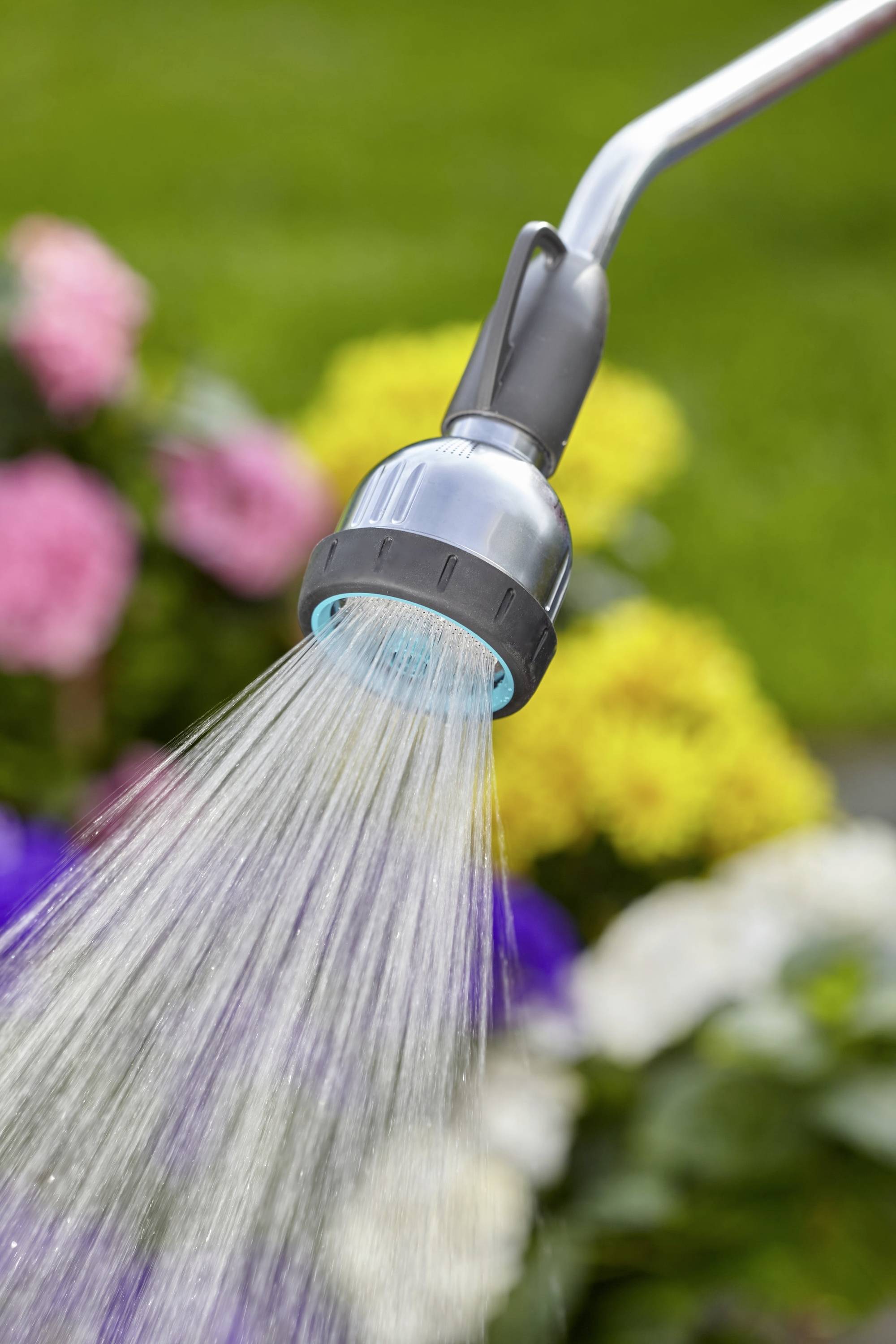 Innaffiatoio con doccia che irriga fiori colorati in un giardino.