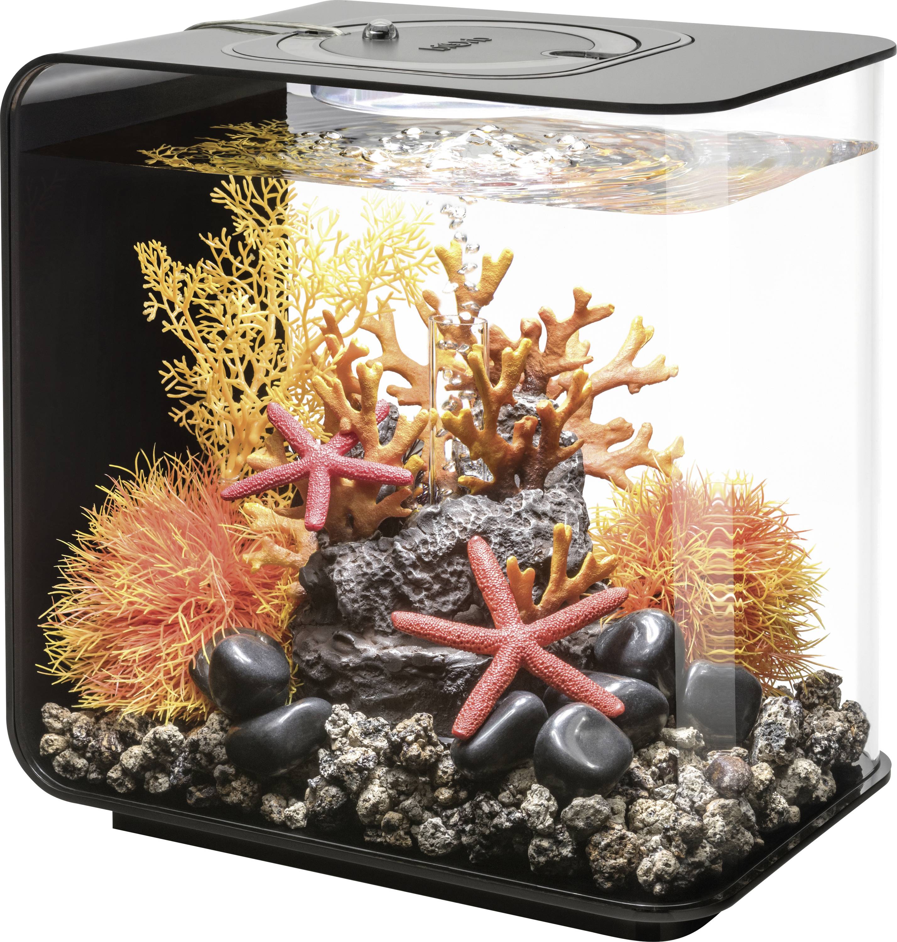 Un piccolo acquario decorativo con coralli colorati, piante marine luminose arancioni e gialle, stelle marine, pietre nere e acqua frizzante.